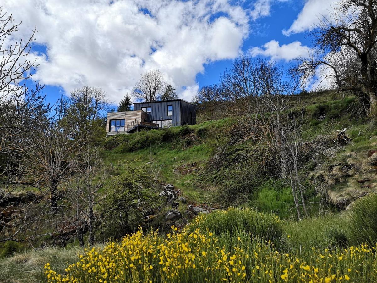 Maison D'Architecte En Pleine Nature Villa Arlempdes Екстериор снимка